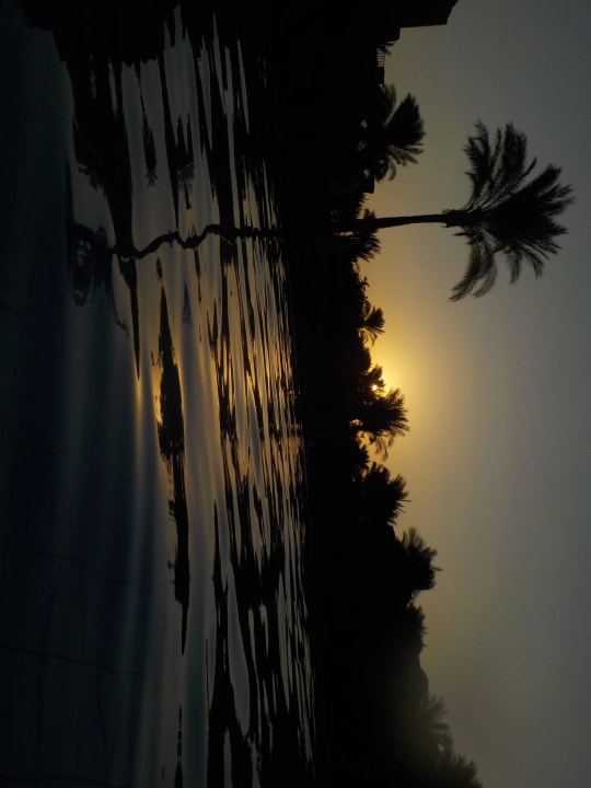 Und die sonne geht so langsam unter Jaz Makadi Oasis Resort