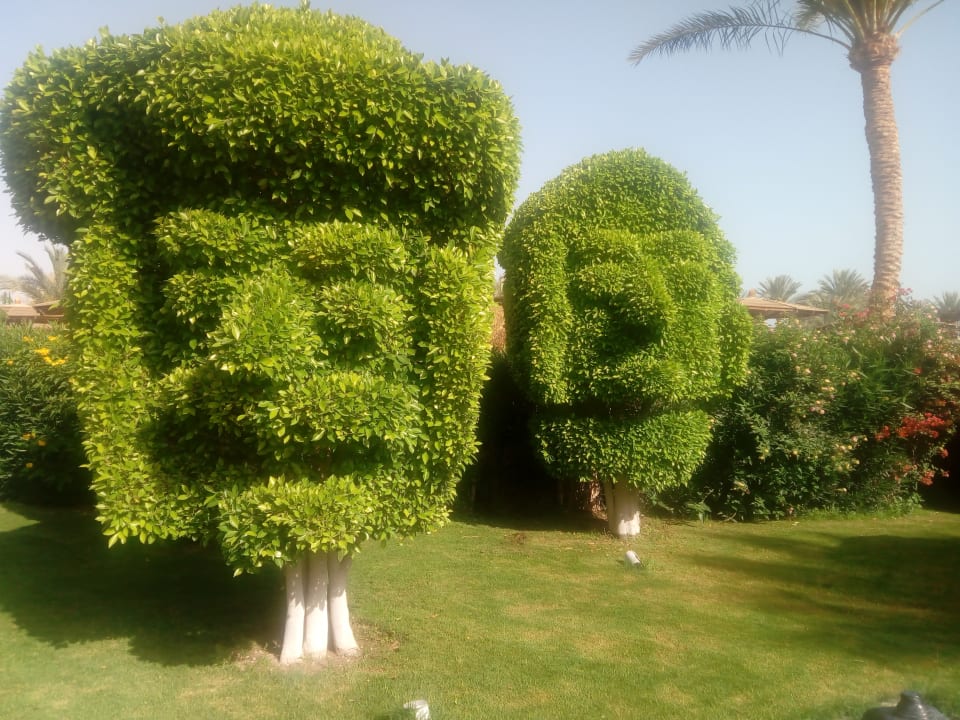 Gartenanlage Golden Beach Resort