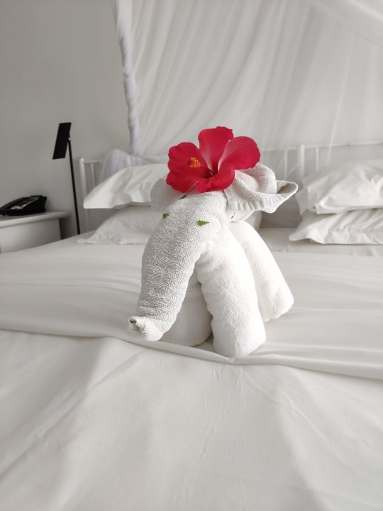 Zimmer Tropical Attitude - Adults only