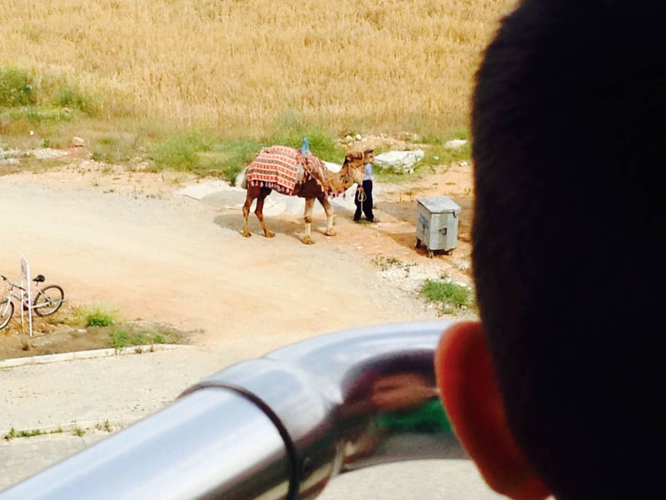  Balkon Ausblick :-) Aydinbey Gold Dreams