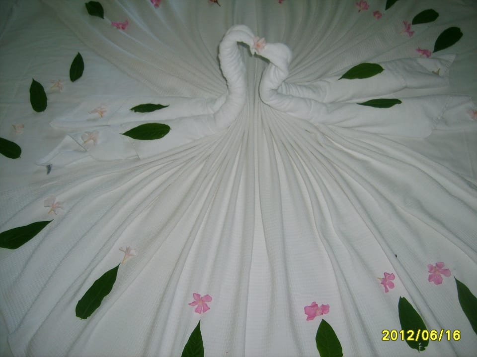 Schwan  Club Resort Atlantis