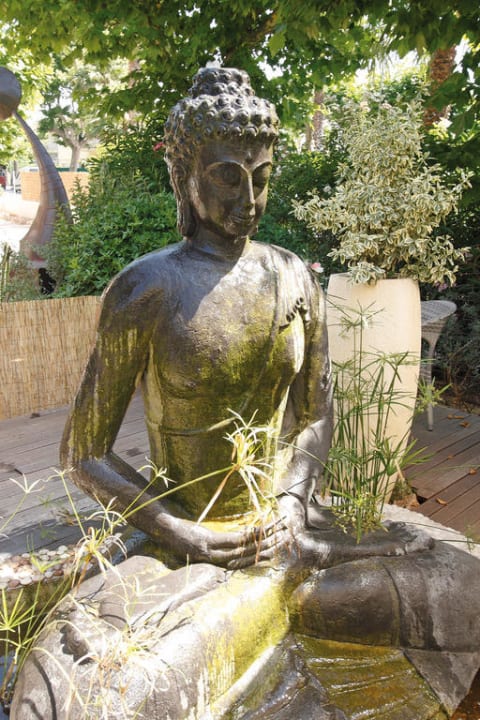 Jardin Adonis Sanary Hôtel des Bains