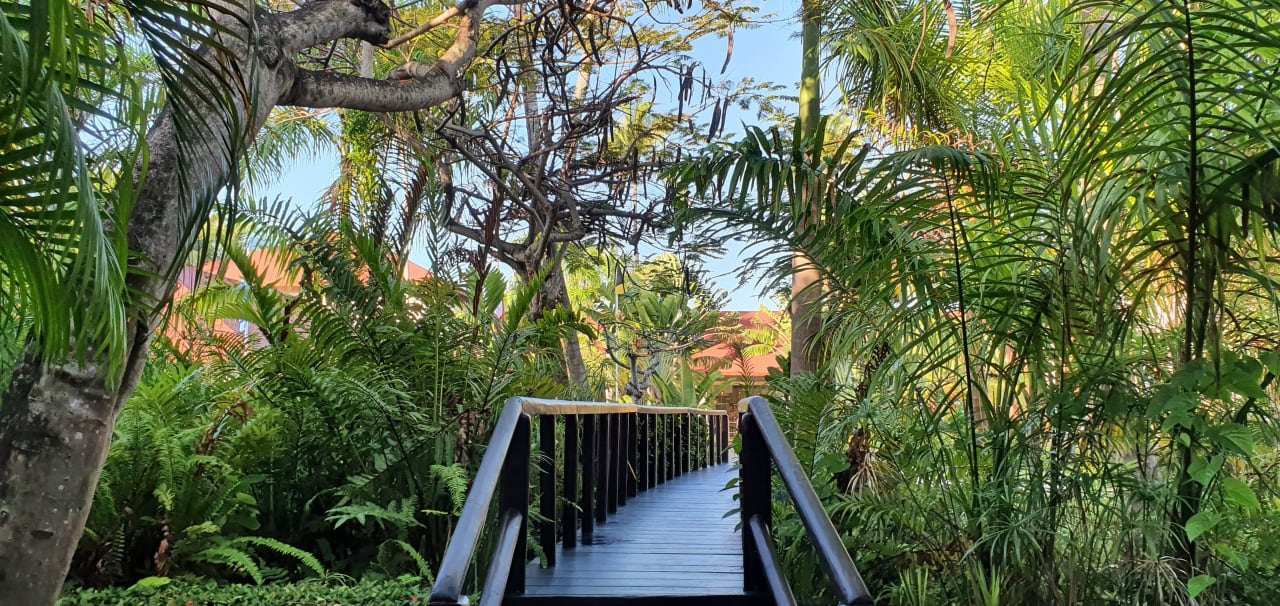 Gartenanlage Hotel Grand Palladium Palace Resort, Spa & Casino