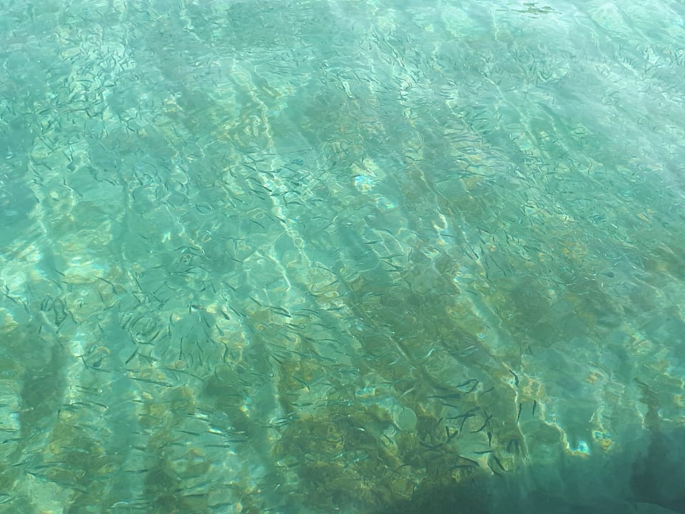 Strand Fodele Beach & Water Park Holiday Resort