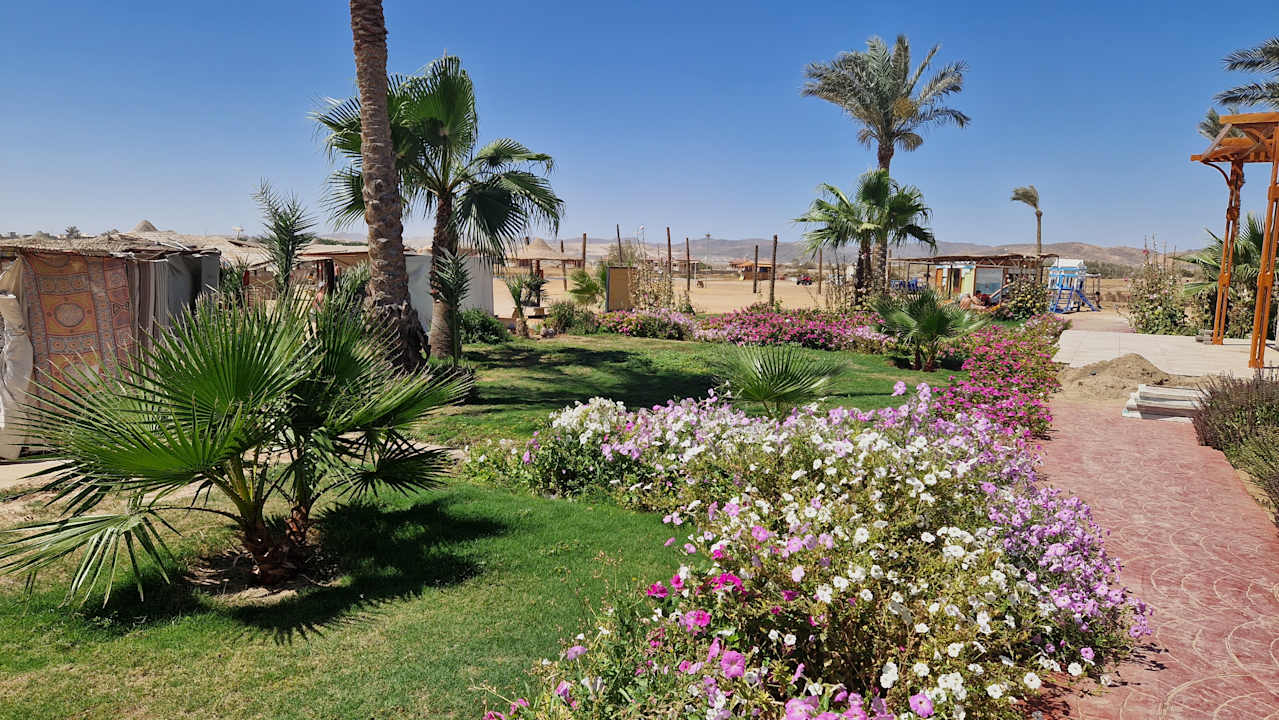 Gartenanlage Three Corners Equinox Beach Resort