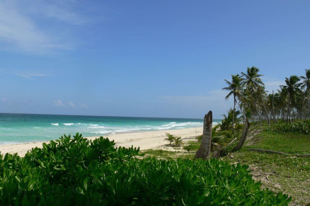 Punta cana - dominikana Occidental Caribe