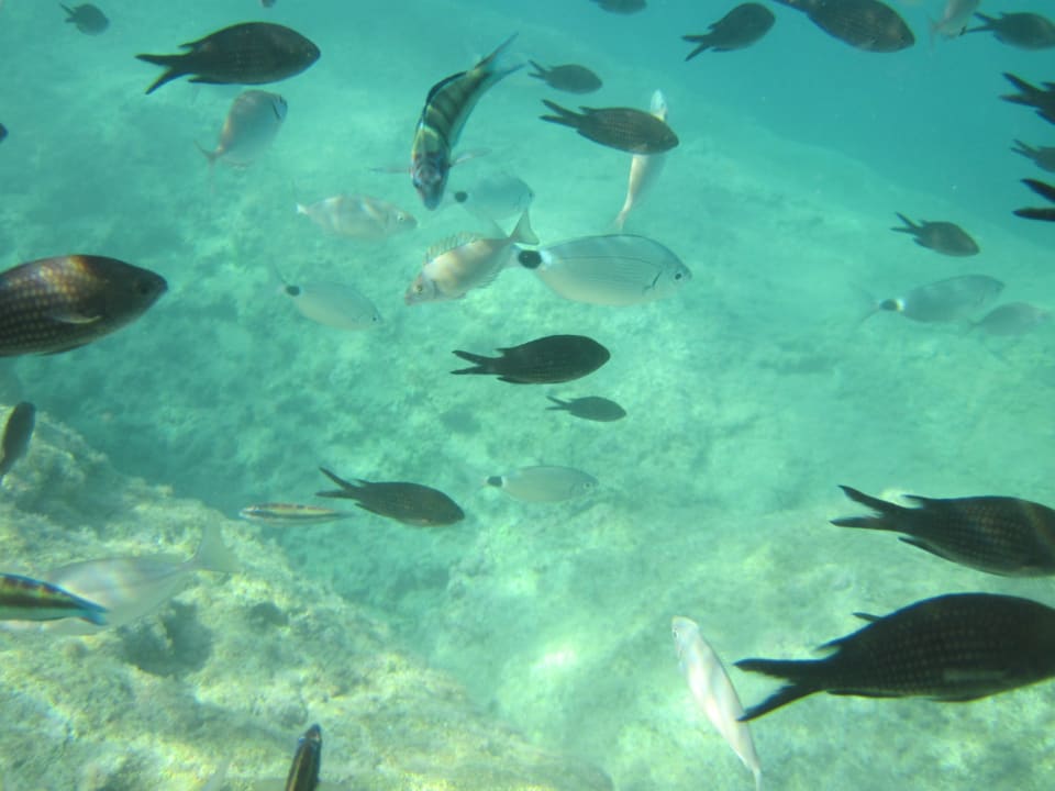 Sport & Freizeit  Crystal Springs Beach Hotel