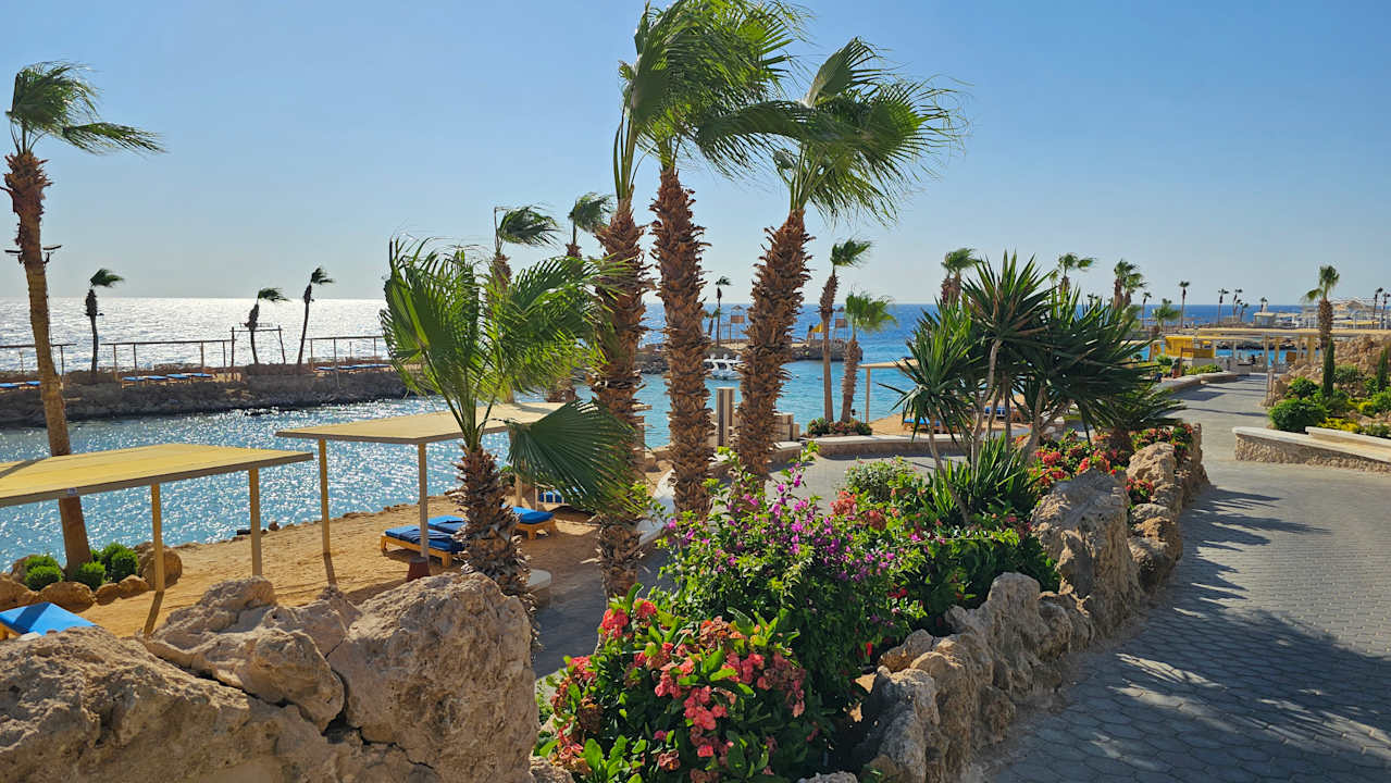 Strand Pickalbatros Citadel Resort