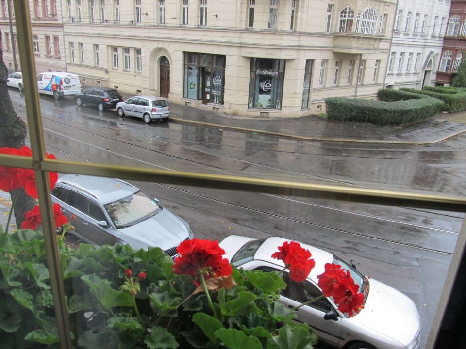 Ausblick Pension Pfefferkiste