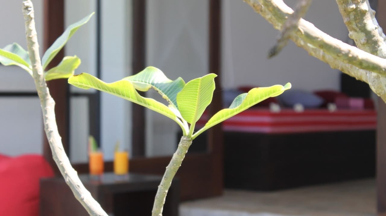 Zimmer ANANDA Ayurveda Resort