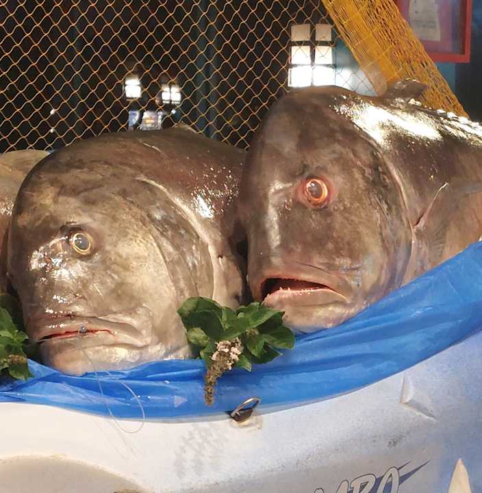 Gastro Club Paradisio El Gouna, Red Sea