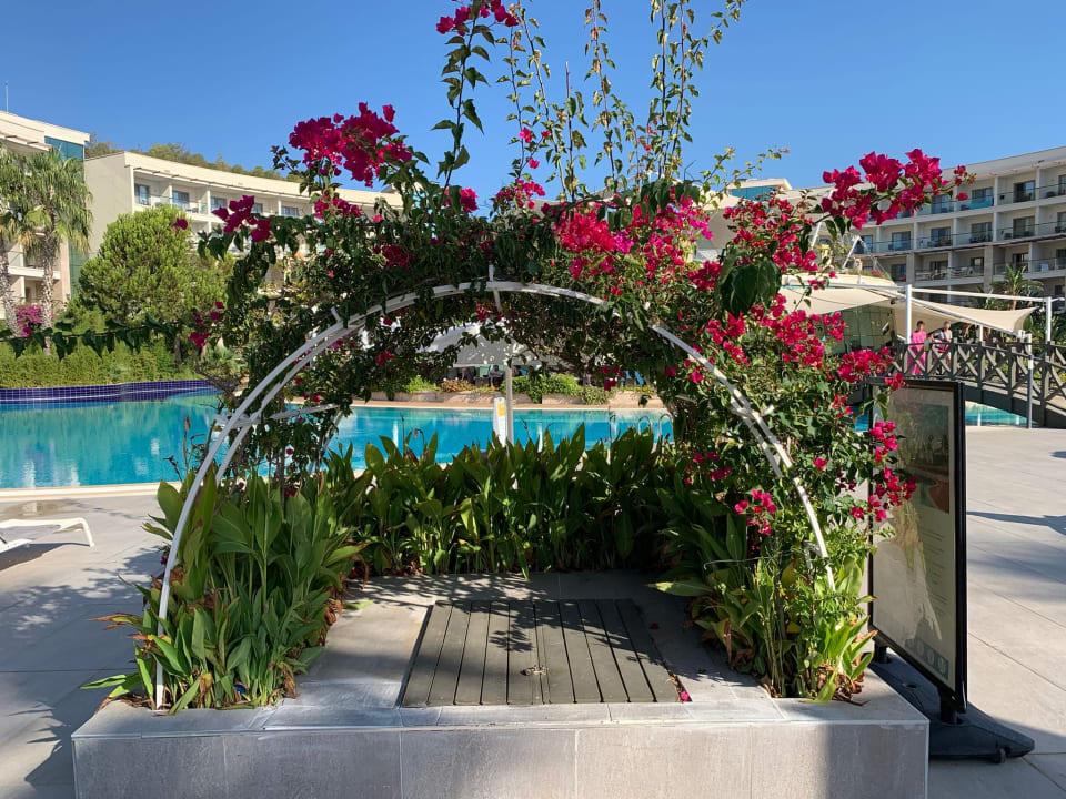 Gartenanlage Paloma Pasha