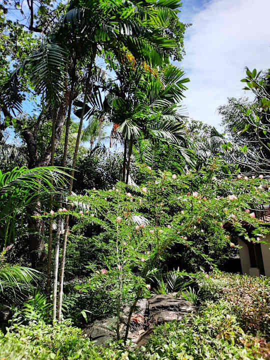 Gartenanlage Santiburi Koh Samui