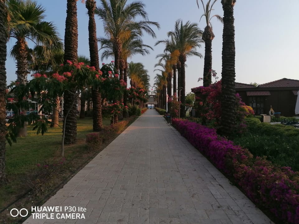 Garten Calimera Serra Palace