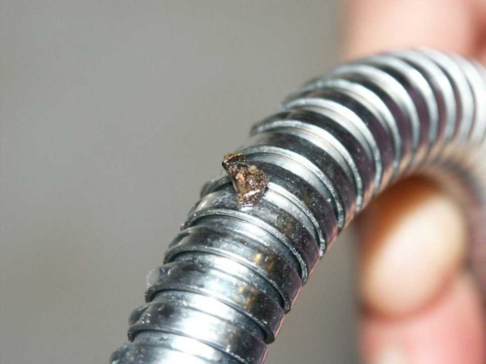 Frosch Sol Hicacos Varadero