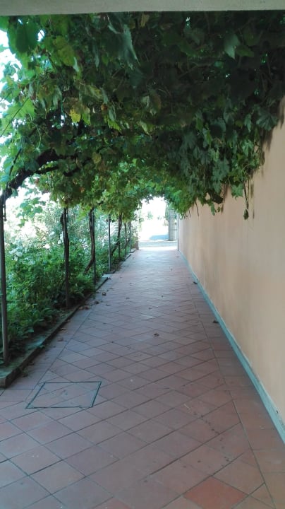 Durchgang zum Pool Villa Il Palagio