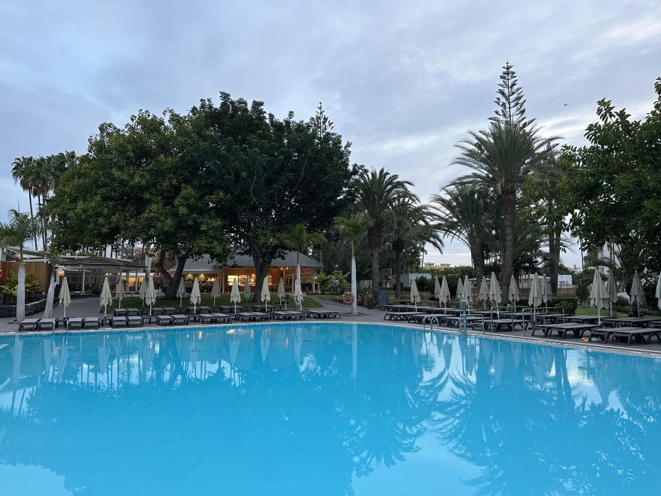 Pool Barceló Margaritas Royal Level