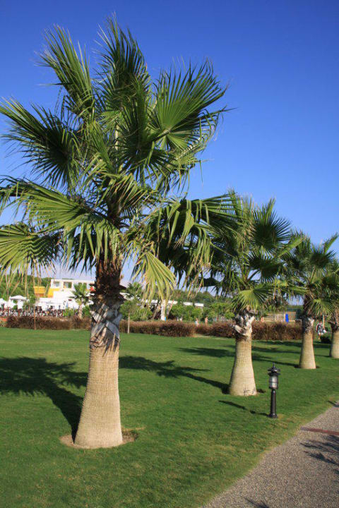 Voyage Belek  Voyage Belek Golf & Spa