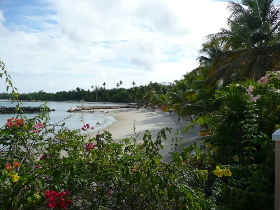 Blick von der Terrasse zum Hotelstrand recht Seite Coco Reef Resort & Spa