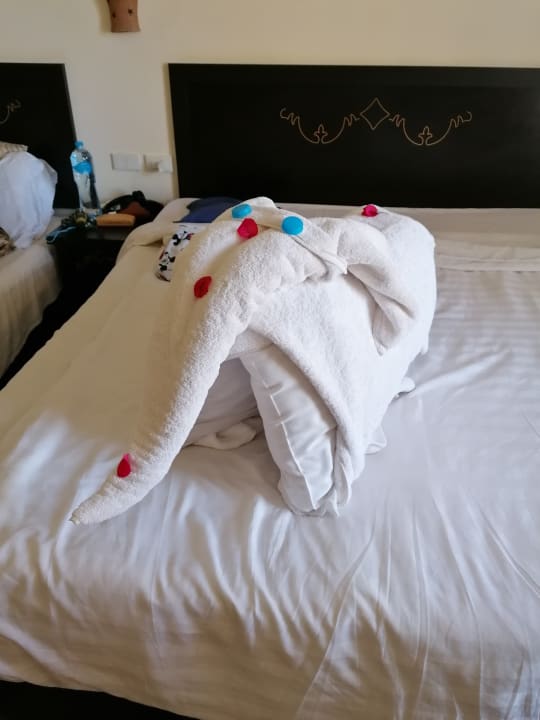 Zimmer Three Corners Sea Beach Resort