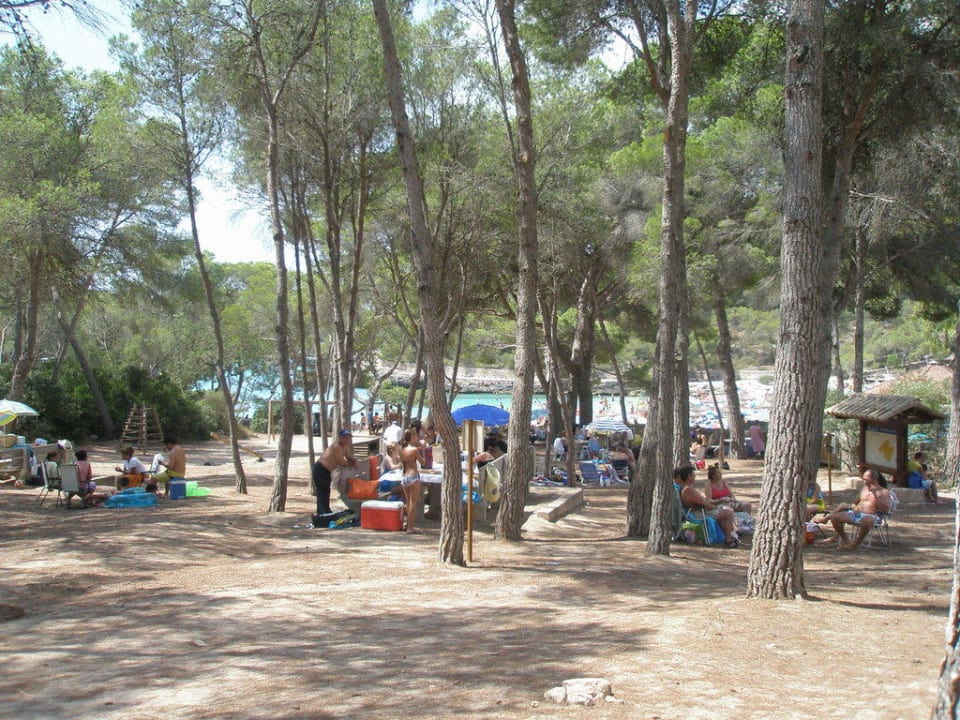 Recreation-Park Hotel Playa Mondrago