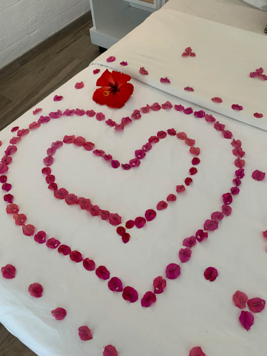 Zimmer Tropical Attitude - Adults only