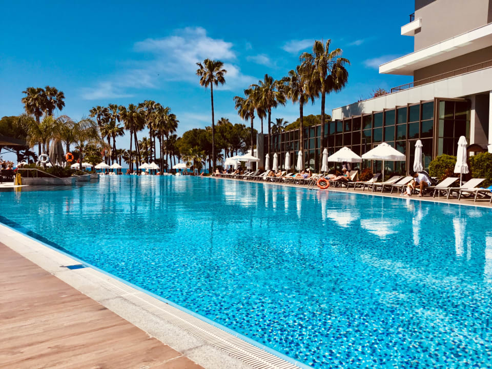 Pool Acanthus Cennet Barut Collection