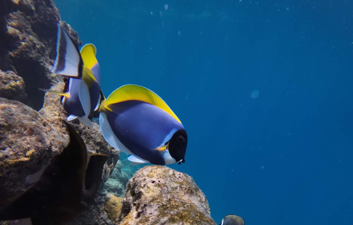 Strand Adaaran Club Rannalhi - All Inclusive