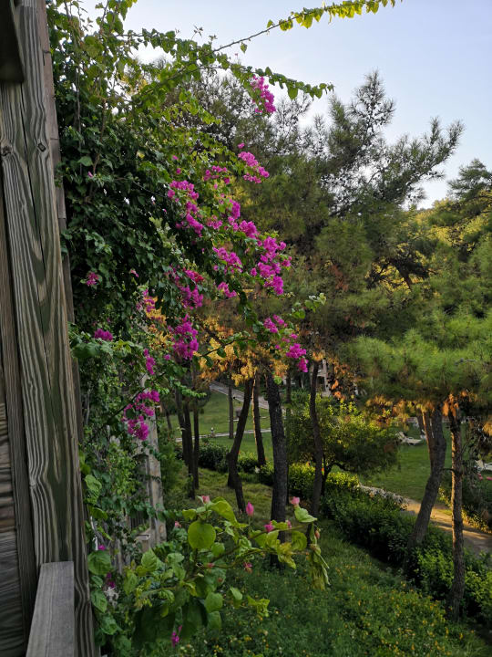 Gartenanlage Hapimag Sea Garden Resort