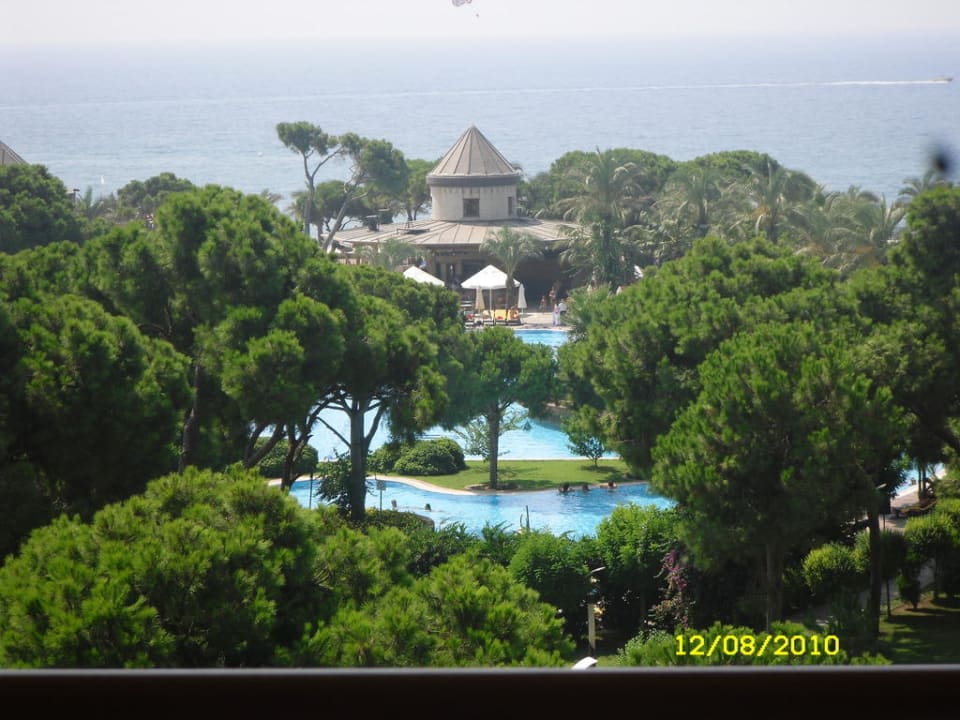 Poolbar Papillon Ayscha