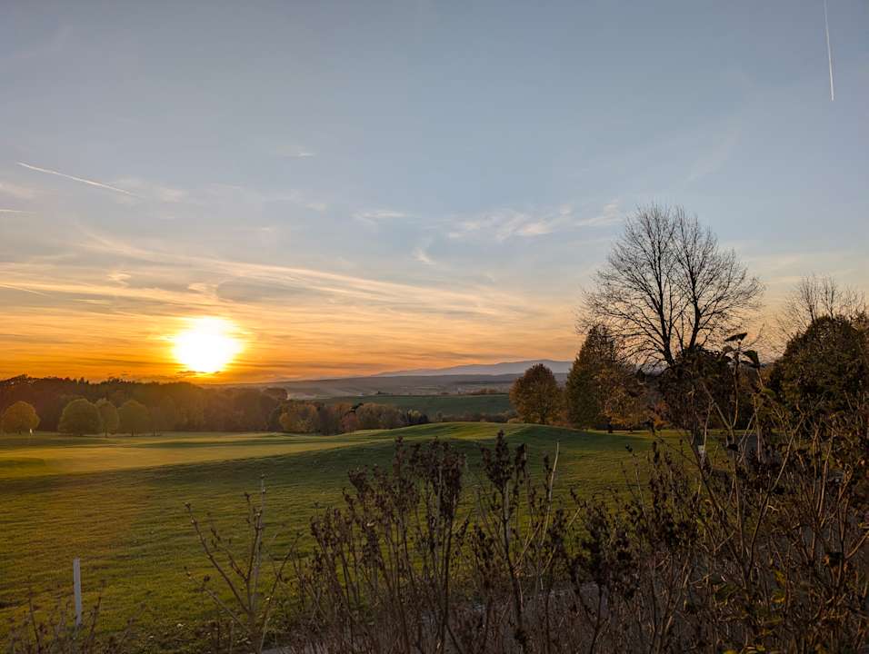 Gartenanlage Hotel Reiters Supreme