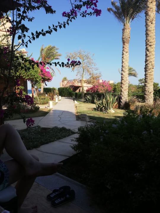 Gartenanlage Shams Prestige Abu Soma-Adults Only