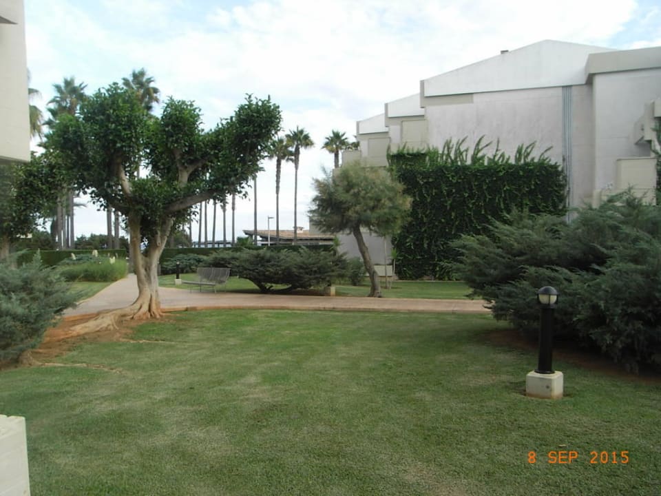 Ausblick von unserer Terrasse Hipotels Mediterraneo Club