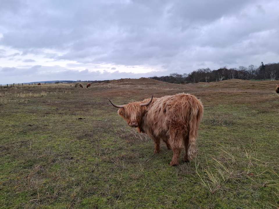 Sonstiges Ferienwohnungen Ferienpark Weissenhäuser Strand