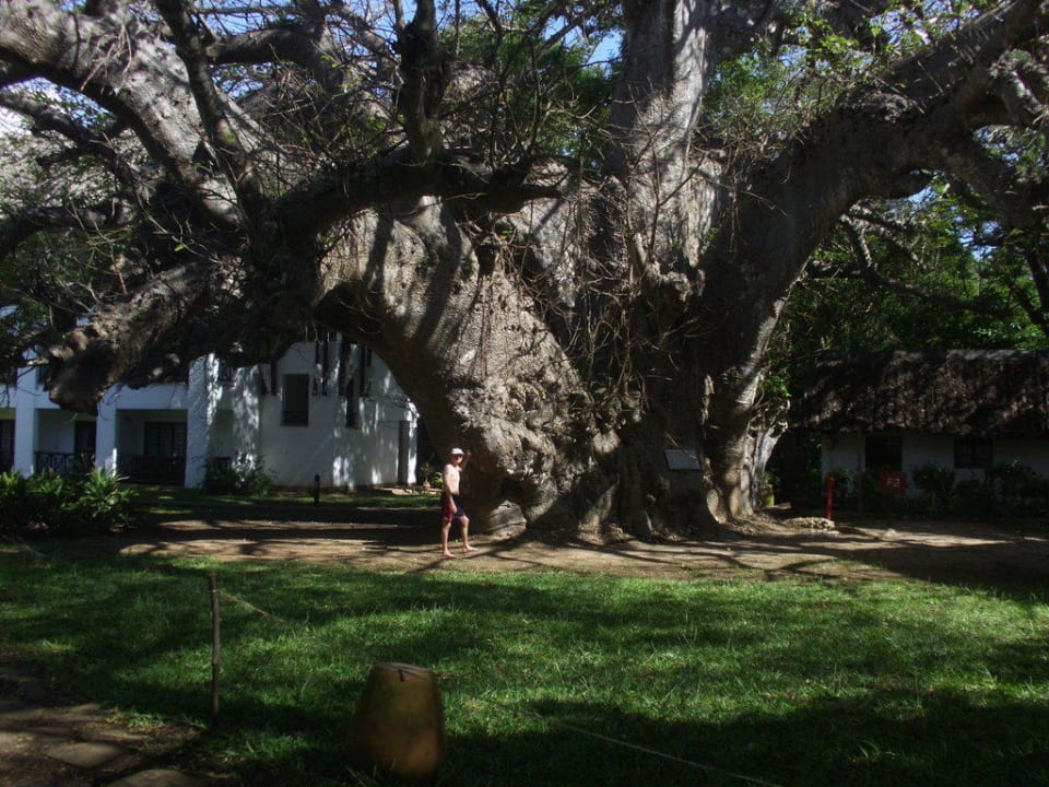 Baobab Hotel Papillon Lagoon Reef