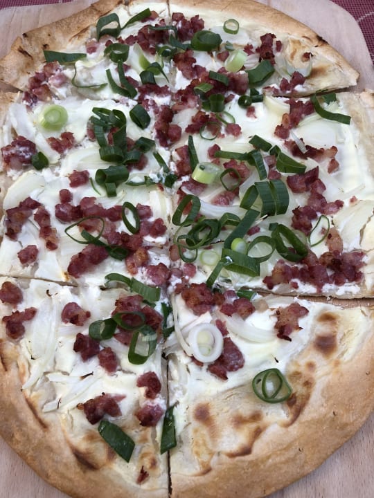 Gastro Hotel Luther Birke Wittenberg