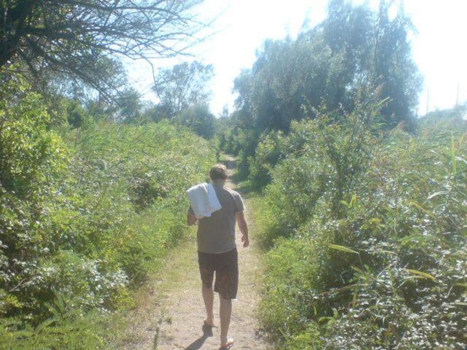 Weg zum strand Rosapineta Camping Village