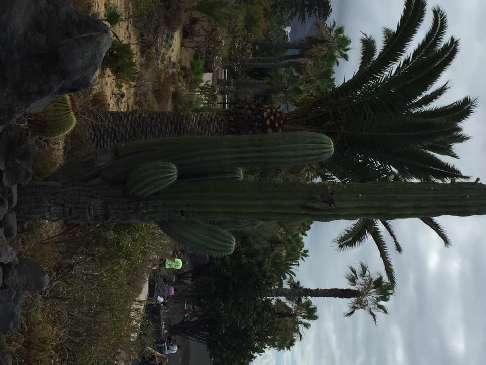 Außenansicht Be Live Tenerife - Adults only