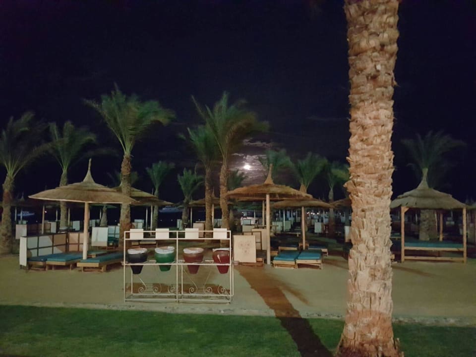 By Night Beach Albatros Resort