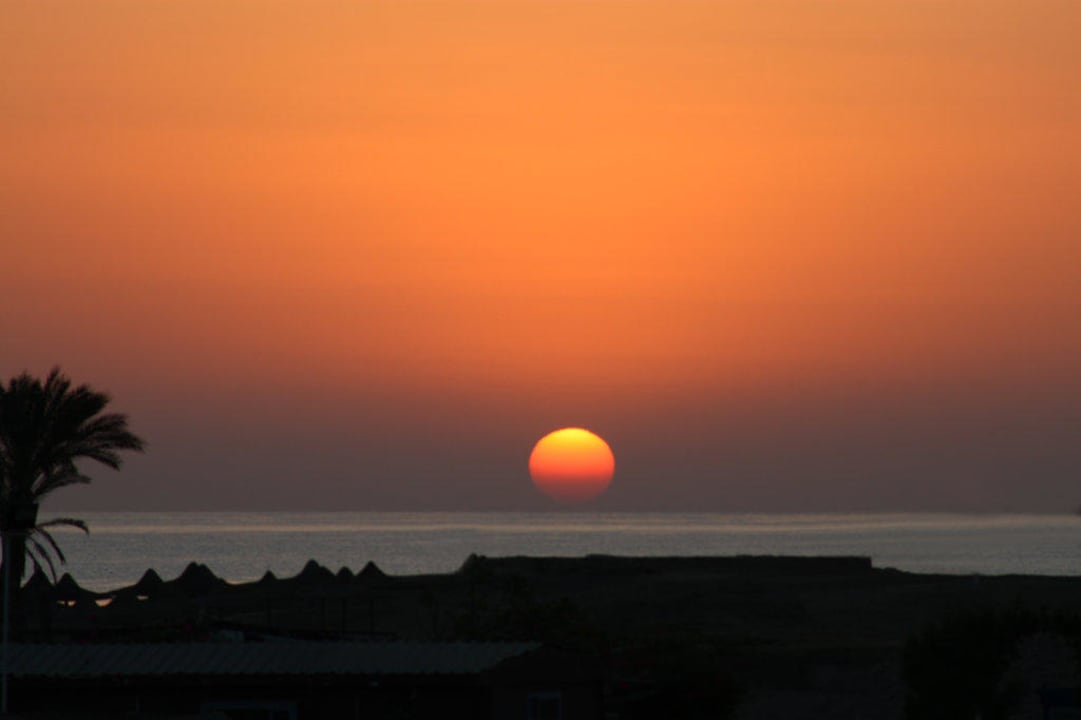 Sonnenaufgang Malikia Resort Abu Dabbab
