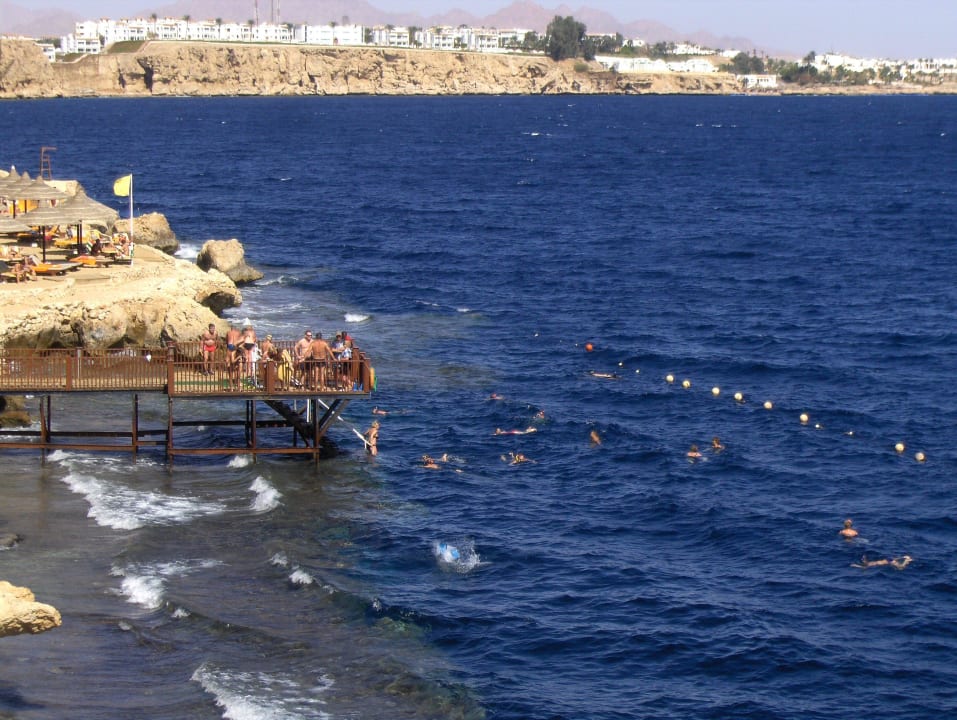 Schnorcheln The Grand Hotel Sharm El Sheikh