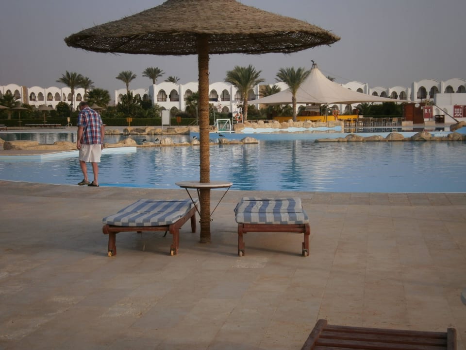 Viel Platz am Pool Hotel Gorgonia Beach Resort