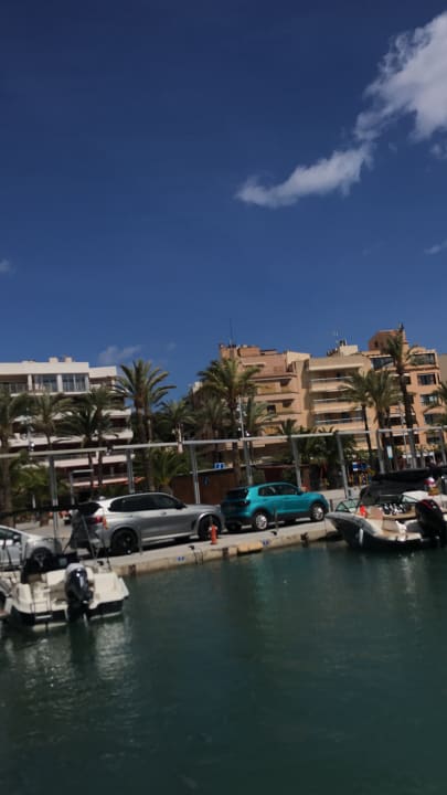 Ausblick Alcudia Garden Aparthotel