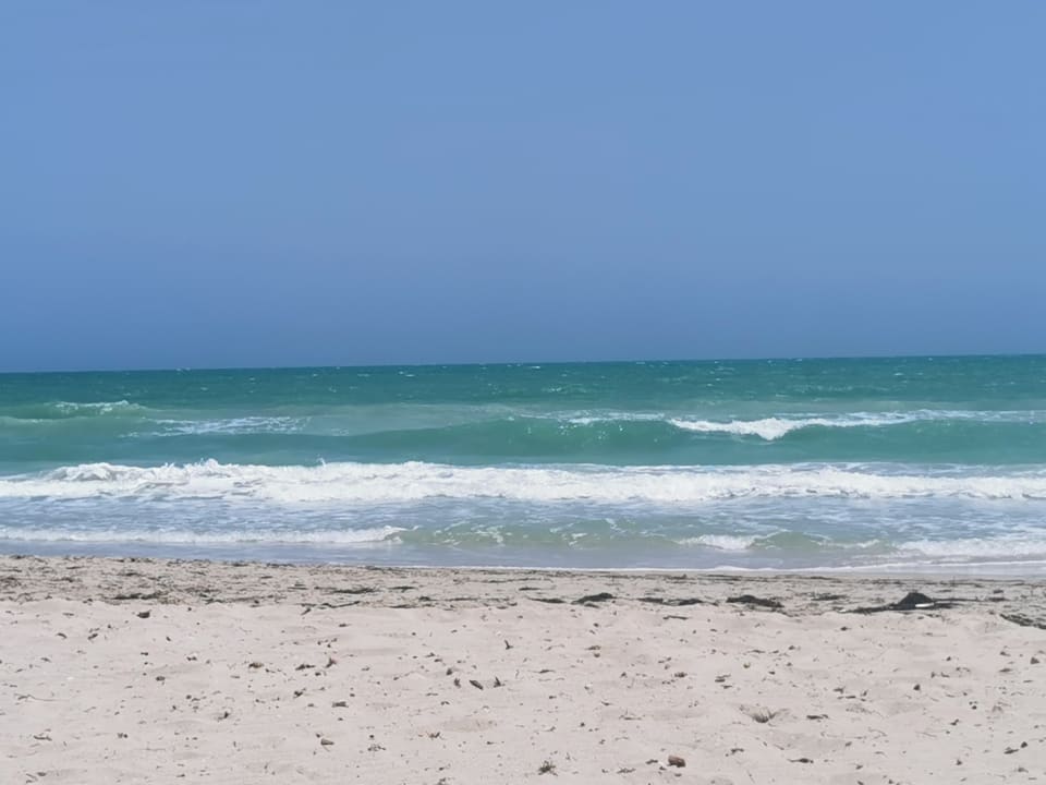 Strand TUI BLUE Palm Beach Palace Djerba