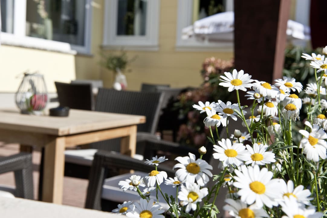 Terrasse Hotel Am Kurpark