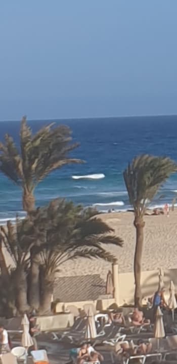 Gartenanlage Hotel Riu Oliva Beach - Hotel