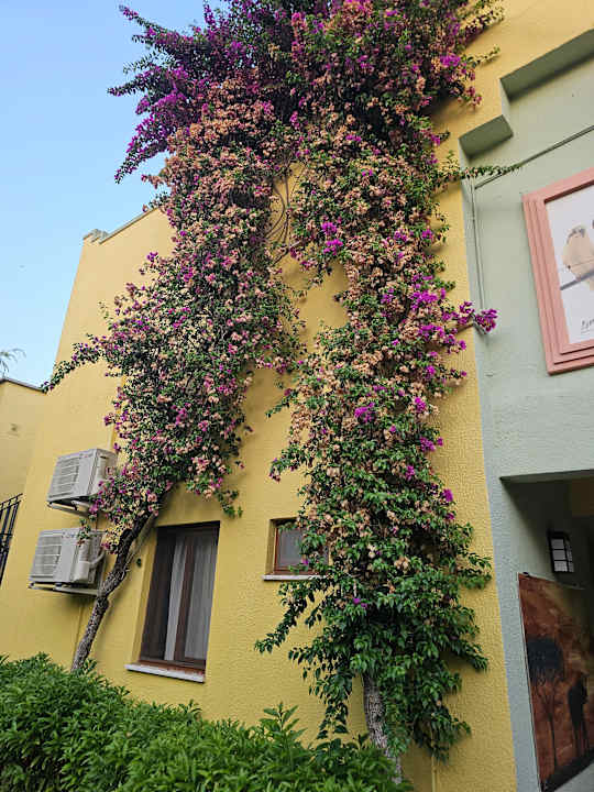 Ausblick VONRESORT Golden Coast