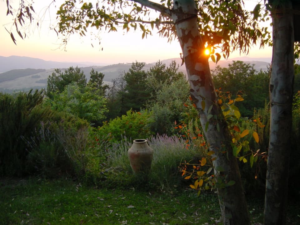 Gartenanlage Villa Casa Ripi