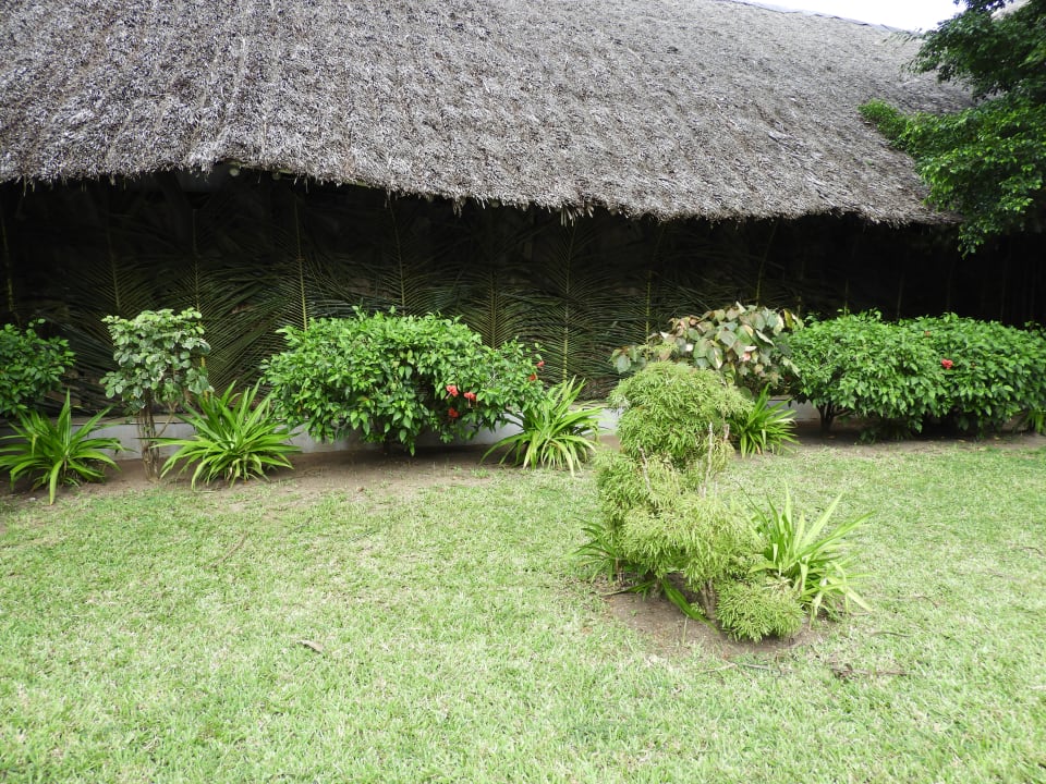 Gartenanlage Hotel Southern Palms Beach Resort