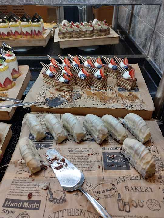 Gastro Seashell Vega